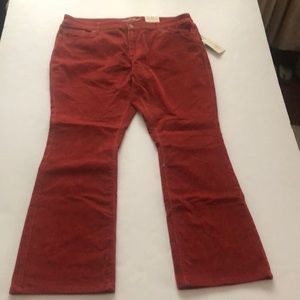 Universal Thread Pants